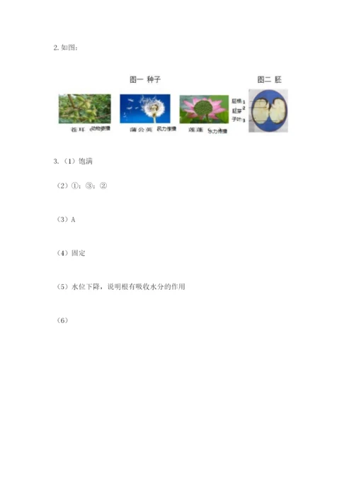 教科版四年级下册科学第一单元《植物的生长变化》测试卷精编.docx