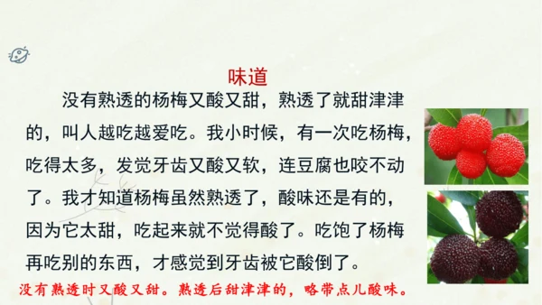统编版三上第五单元 习作例文：我爱故乡的杨梅   课件