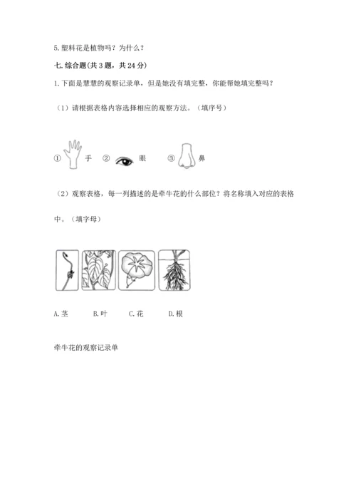 教科版科学一年级上册期末测试卷（考点梳理）.docx