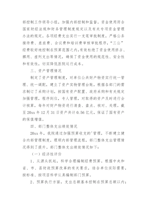 医院绩效自评报告.docx