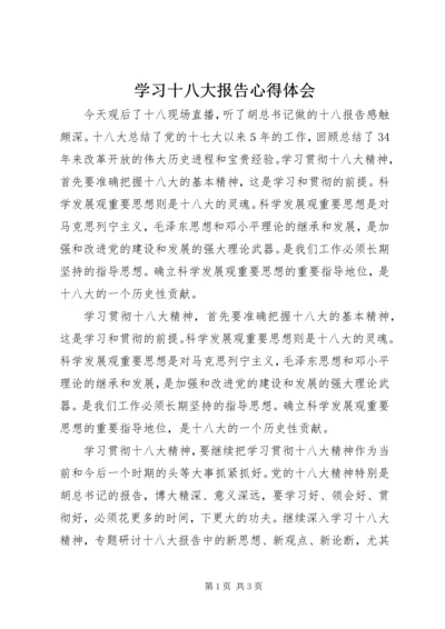 学习十八大报告心得体会 (19).docx