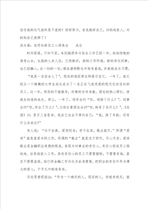 信用社新员工工作体会