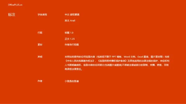 红色通用年度汇报模板