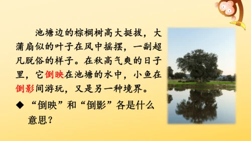 22 读不完的大书  课件