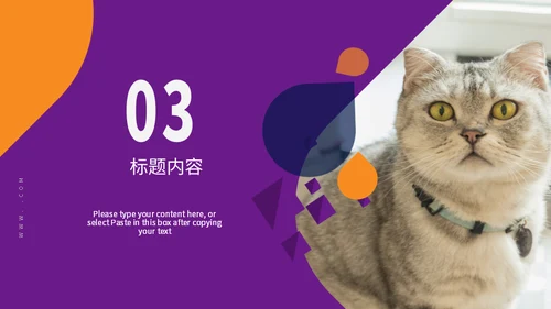 宠物小狗狗泰迪犬通用PPT模板
