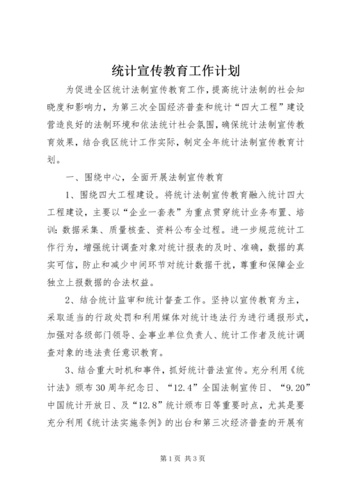 统计宣传教育工作计划.docx