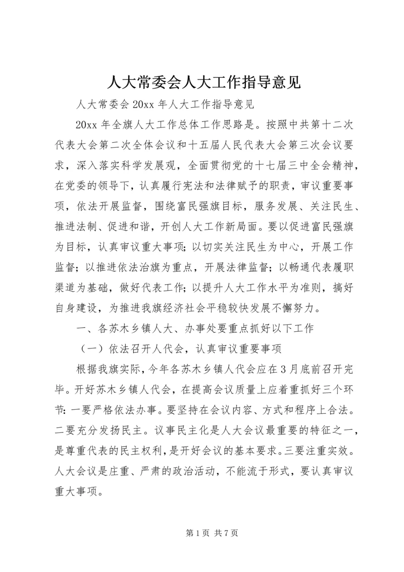 人大常委会人大工作指导意见.docx