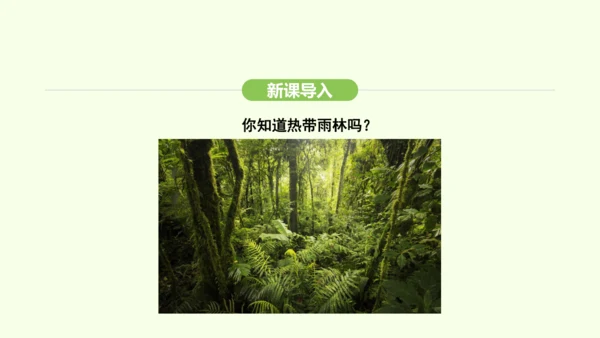 10.2.2 热带雨林的开发与保护（课件31张）-2024-2025学年七年级地理下学期人教版(20
