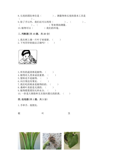 教科版科学一年级上册期末测试卷【易错题】.docx