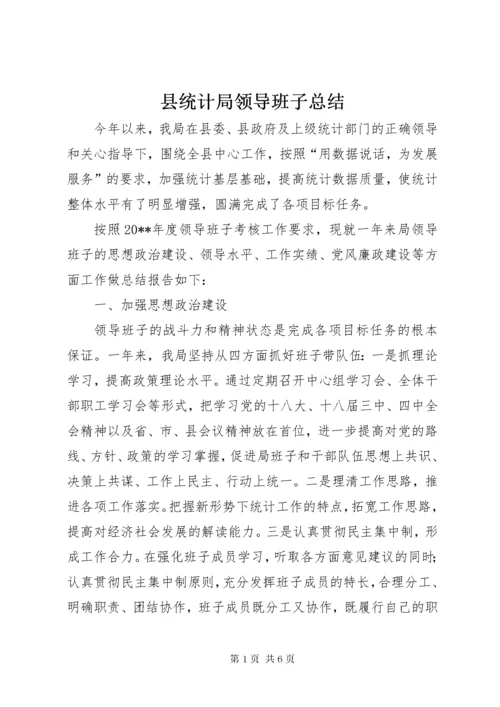 县统计局领导班子总结.docx