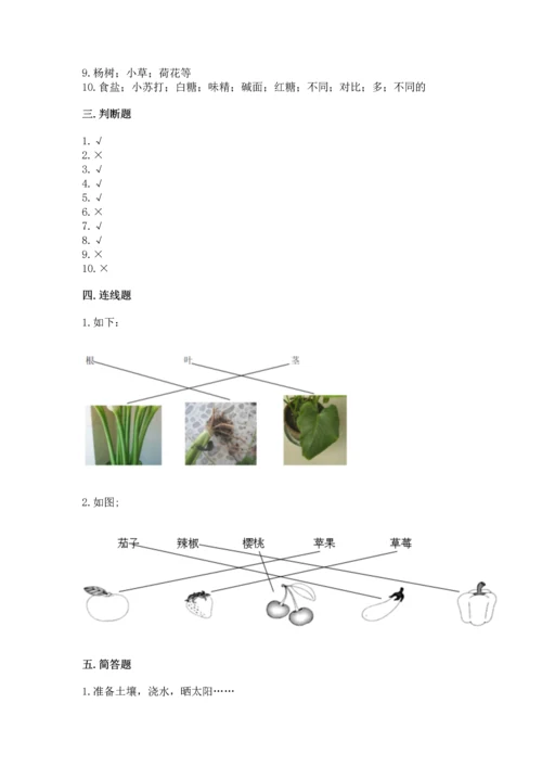 教科版一年级上册科学期末测试卷及答案（全优）.docx