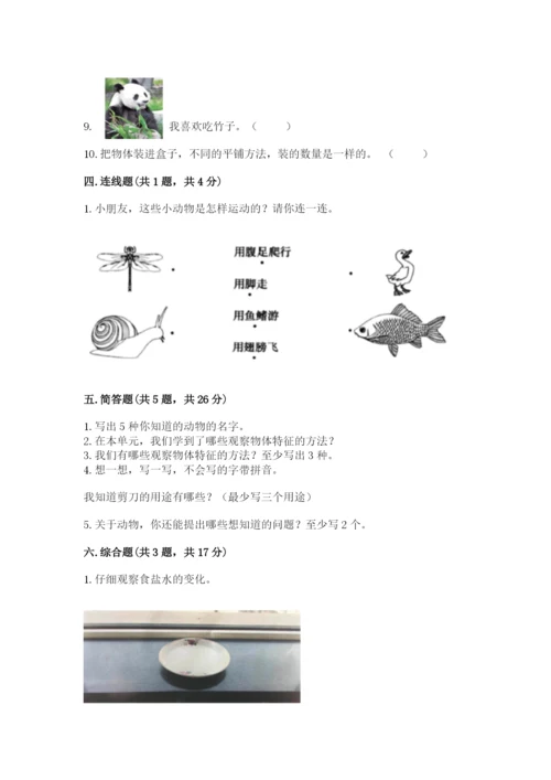 教科版一年级下册科学期末测试卷精品（能力提升）.docx