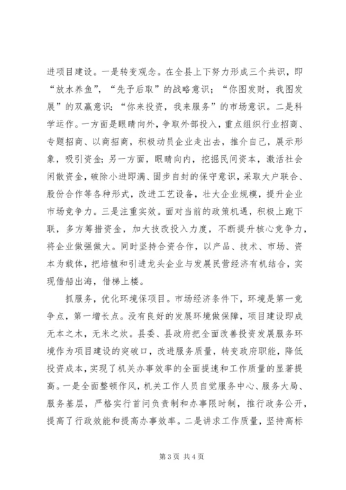 做好全县项目建设工作促进县域经济健康发展_1 (6).docx