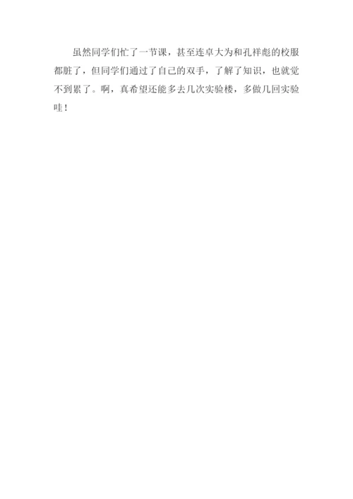 一堂别开生面的生物课作文500字.docx