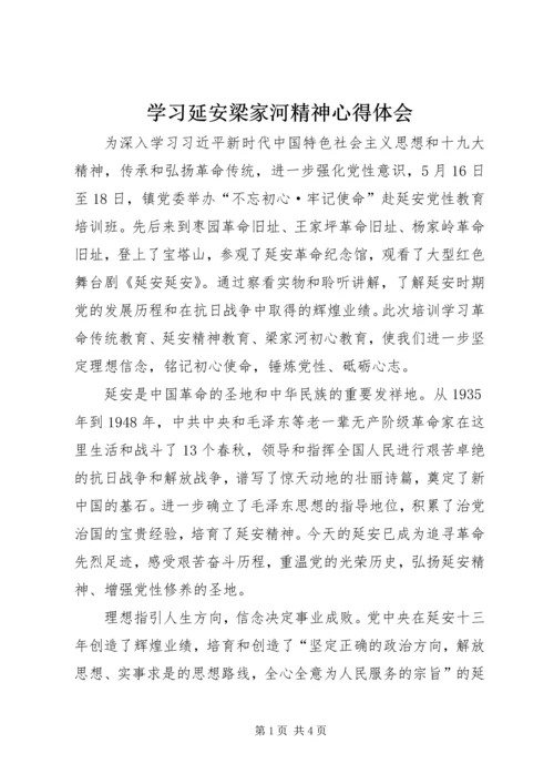 学习延安梁家河精神心得体会.docx