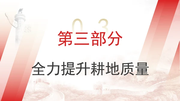关于加强耕地保护提升耕地质量完善占补平衡的意见全文学习PPT课件