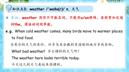 Unit 7 It's raining单元复习课件（词组+句型+知识点+语法+写作指导+易错考点）