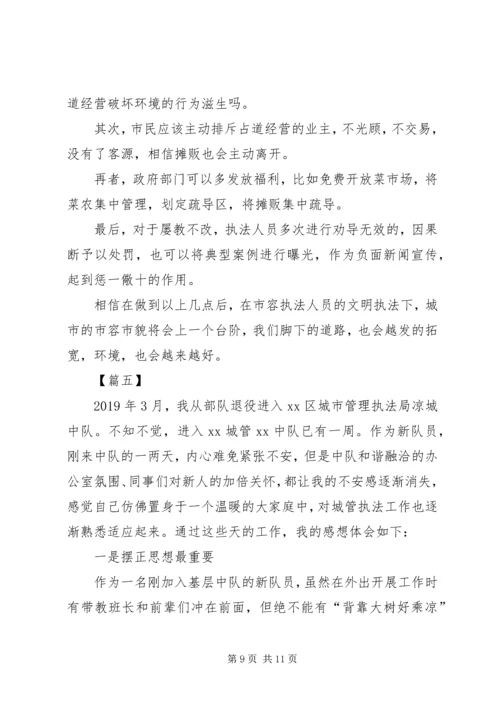 城管执法工作心得体会五篇.docx