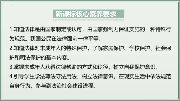 《讲·记·练高效复习》 第四单元 走进法治天地 七年级道德与法治下册 课件(共29张PPT)