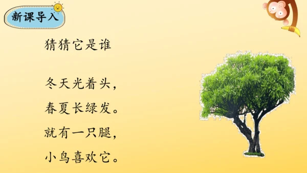 识字2 树之歌  课件