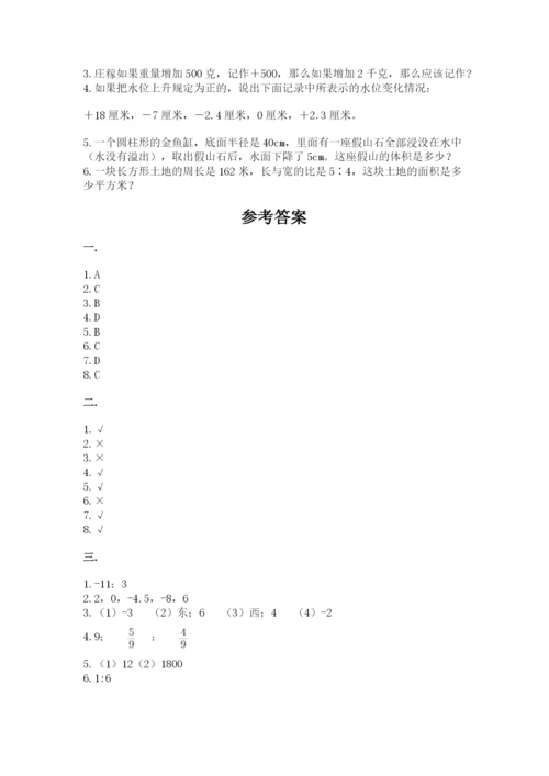 北师大版数学小升初模拟试卷精品（易错题）.docx