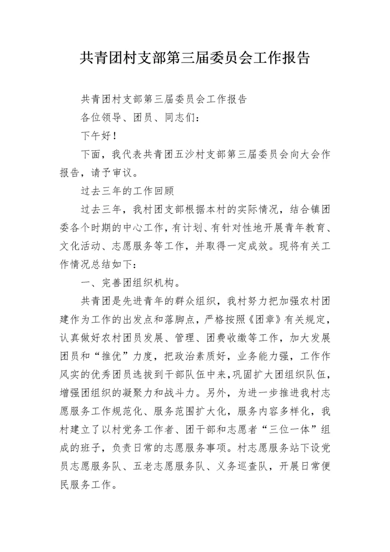共青团村支部第三届委员会工作报告.docx