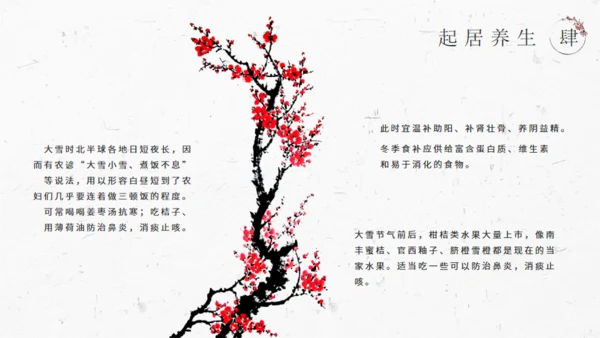 大雪季气中国风通用PPT模板
