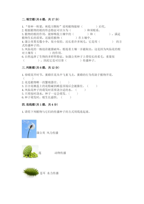 教科版科学四年级下册第一单元《植物的生长变化》测试卷【含答案】.docx