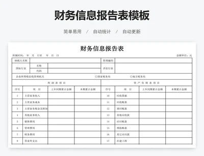 财务信息报告表模板