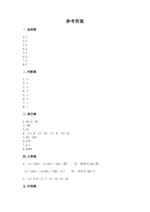 北京版六年级下册数学期末测试卷带答案（典型题）.docx