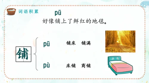 第17课《难忘的泼水节》（课件）