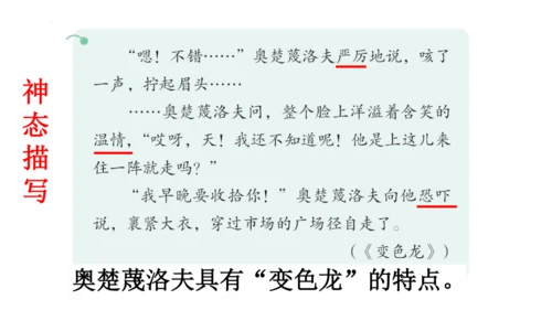统编版语文四年级上册-2024-2025学年习作：小小动物园（课件）