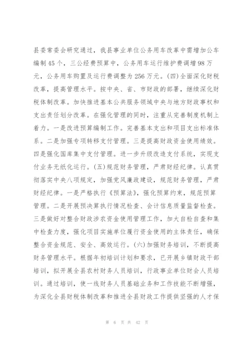 预算执行情况报告.docx