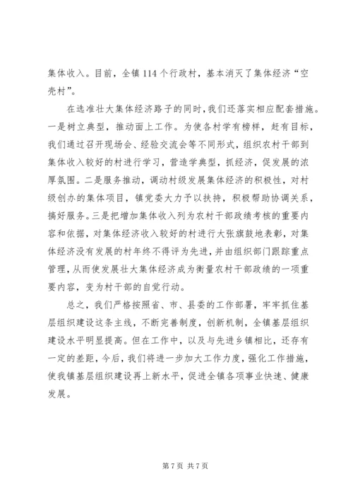 乡镇基层组织建设座谈会汇报材料.docx