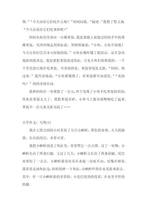 小学作文：写物.docx
