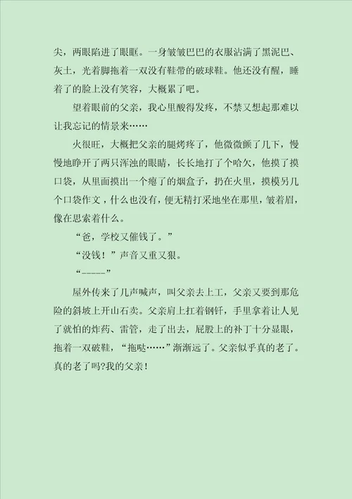 我的父亲作文900字