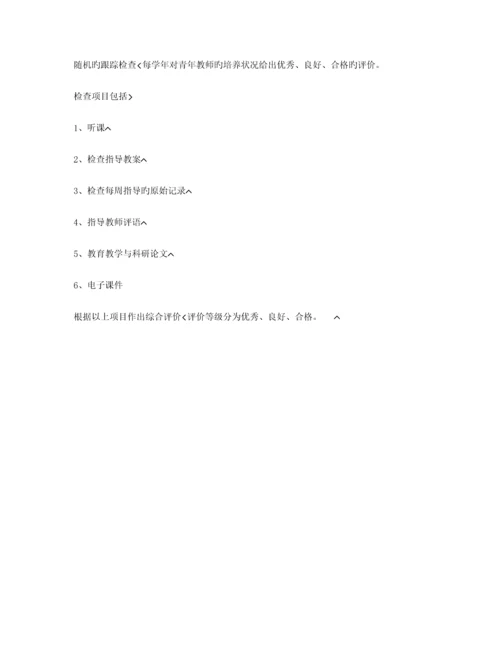 青年教师培养方案及实施计划.docx