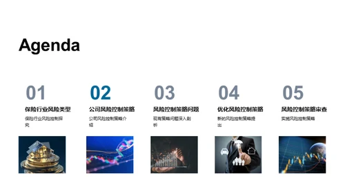 保险风险管理优化