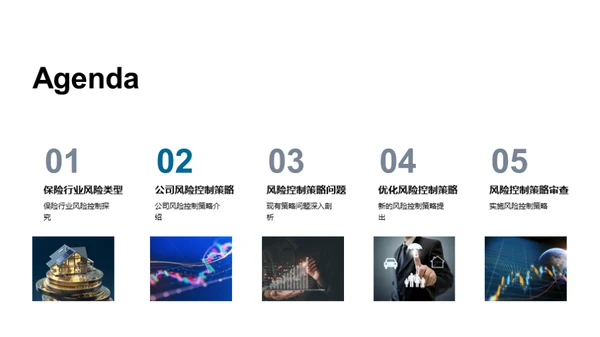 保险风险管理优化