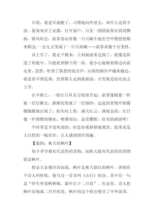 景物描写作文500字.docx