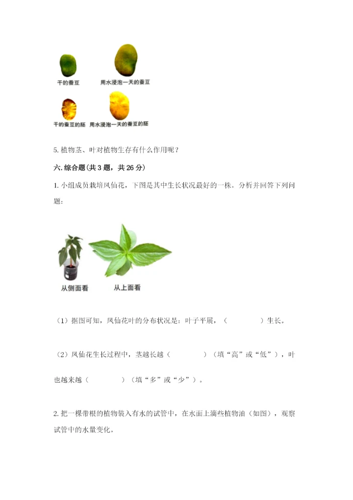 科学四年级下册第一单元《植物的生长变化》测试卷精品【能力提升】.docx