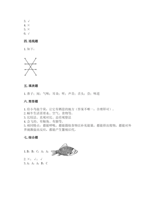 教科版一年级下册科学期末测试卷及参考答案【夺分金卷】.docx