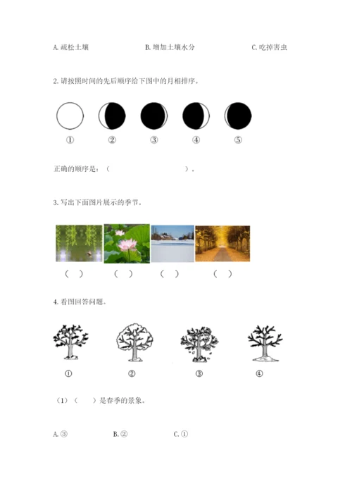 教科版二年级上册科学期末测试卷带答案ab卷.docx