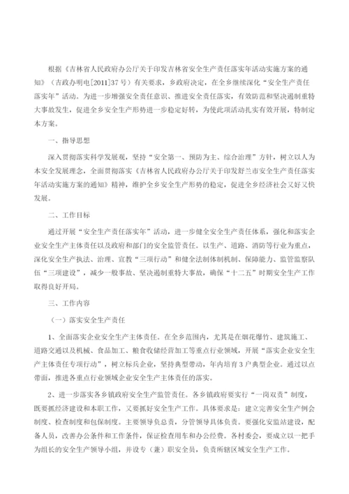 安全生产责任落实年活动实施方案.docx