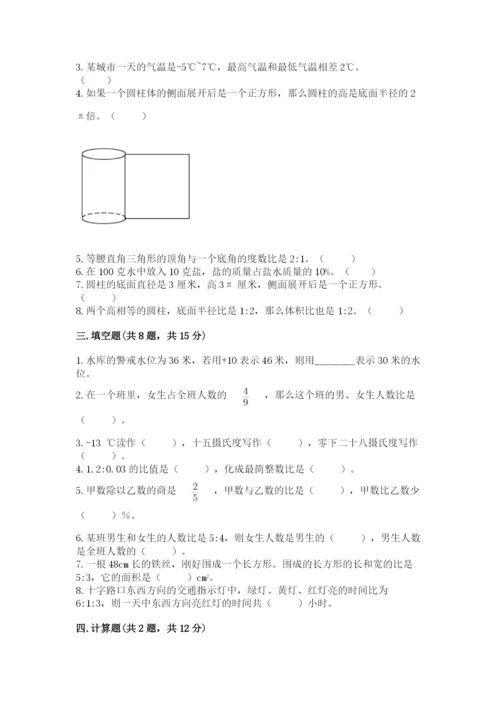 人教版六年级下册数学期末测试卷及参考答案（综合卷）.docx