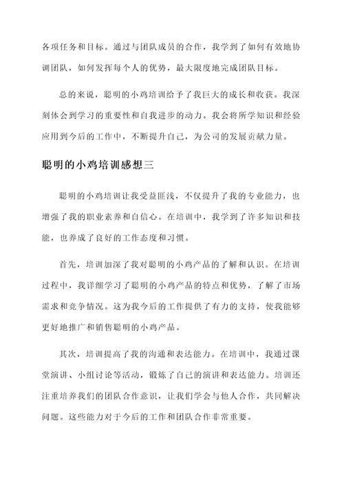 聪明的小鸡培训感想