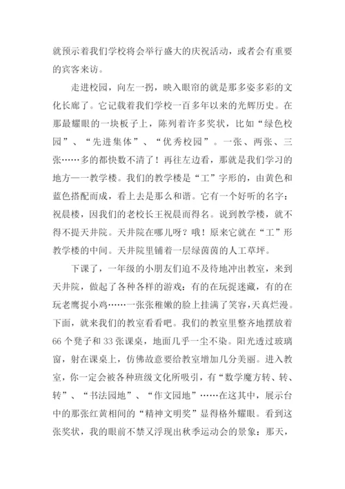 我们的校园作文900字-1.docx
