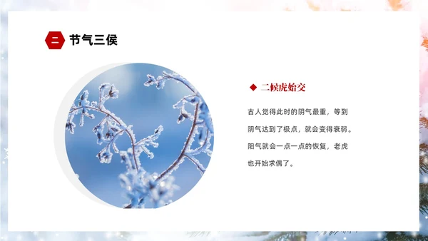 白色简约实拍雪景中国传统节气大雪节气介绍PPT
