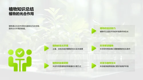 探秘植物生长