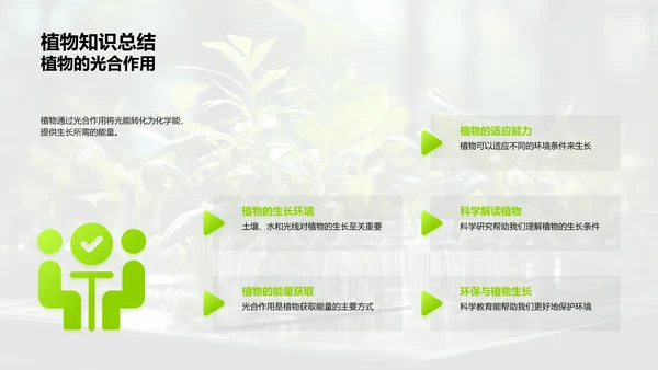 探秘植物生长